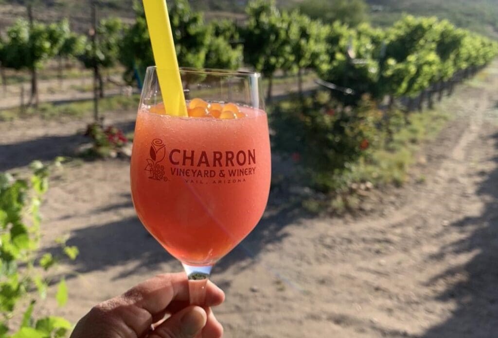 Foodie 15 Best Spots to Sip Wine in SonoitaElgin Wine Country