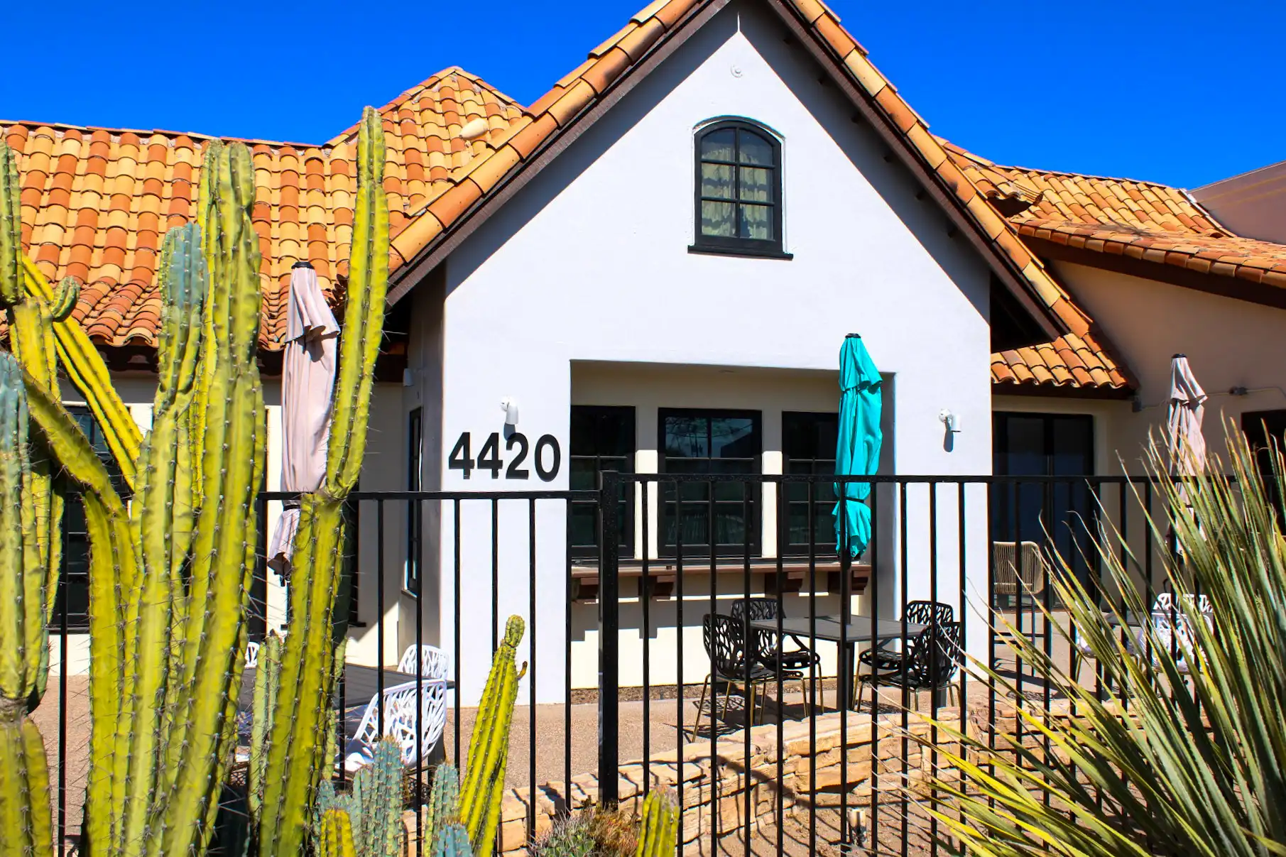 NOW OPEN Tesoro Latin Kitchen & Cantina on Oracle Road