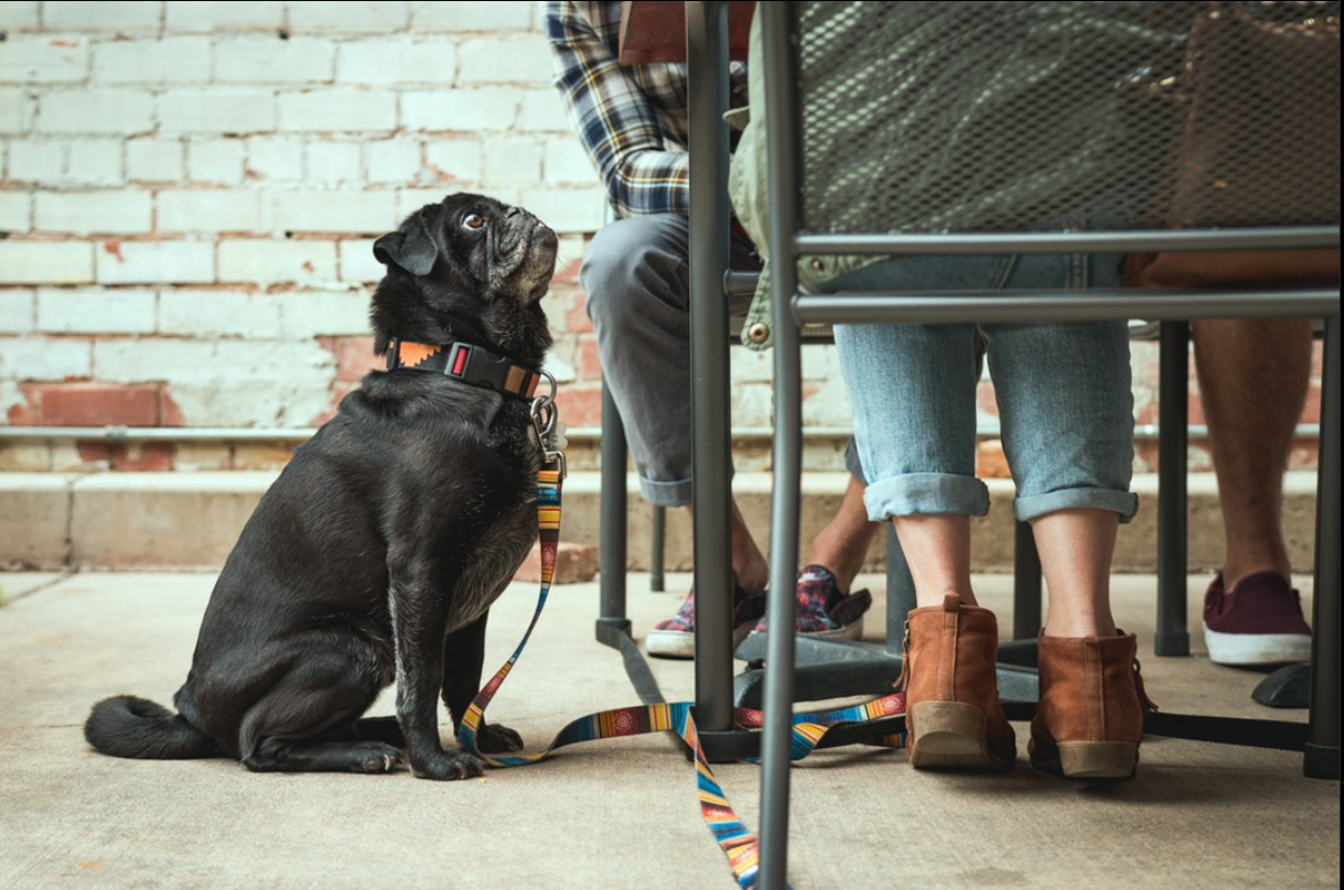 The Best Pancakes in Tucson