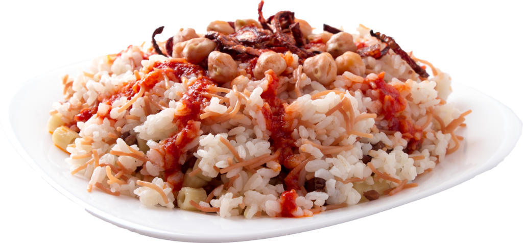 a plate of food with rice