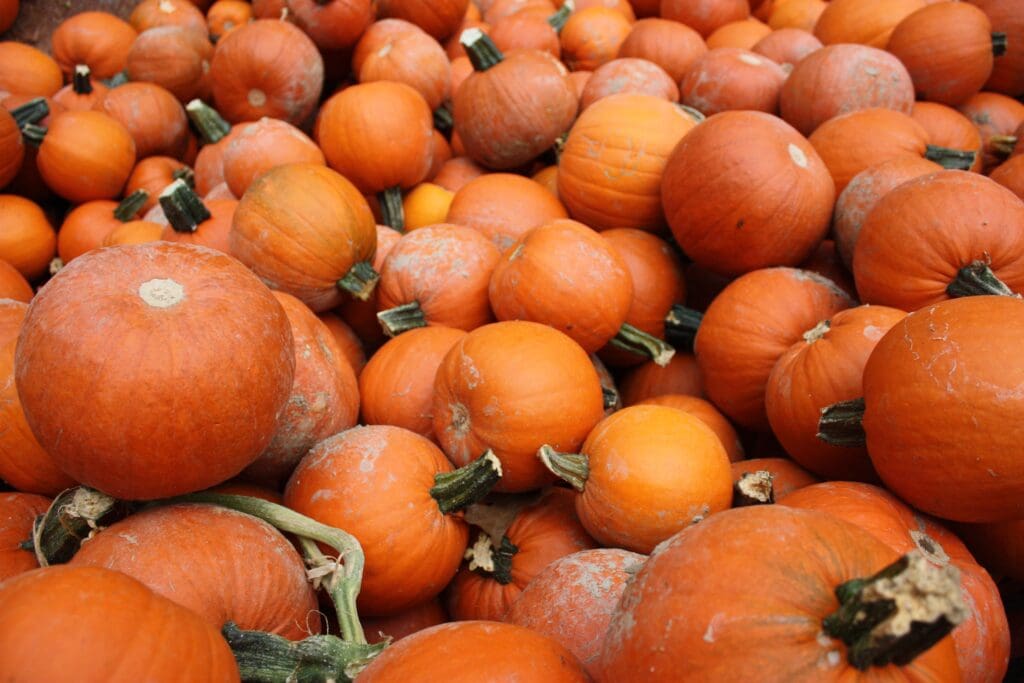 a bunch of oranges stacked on top of a pile of fruit