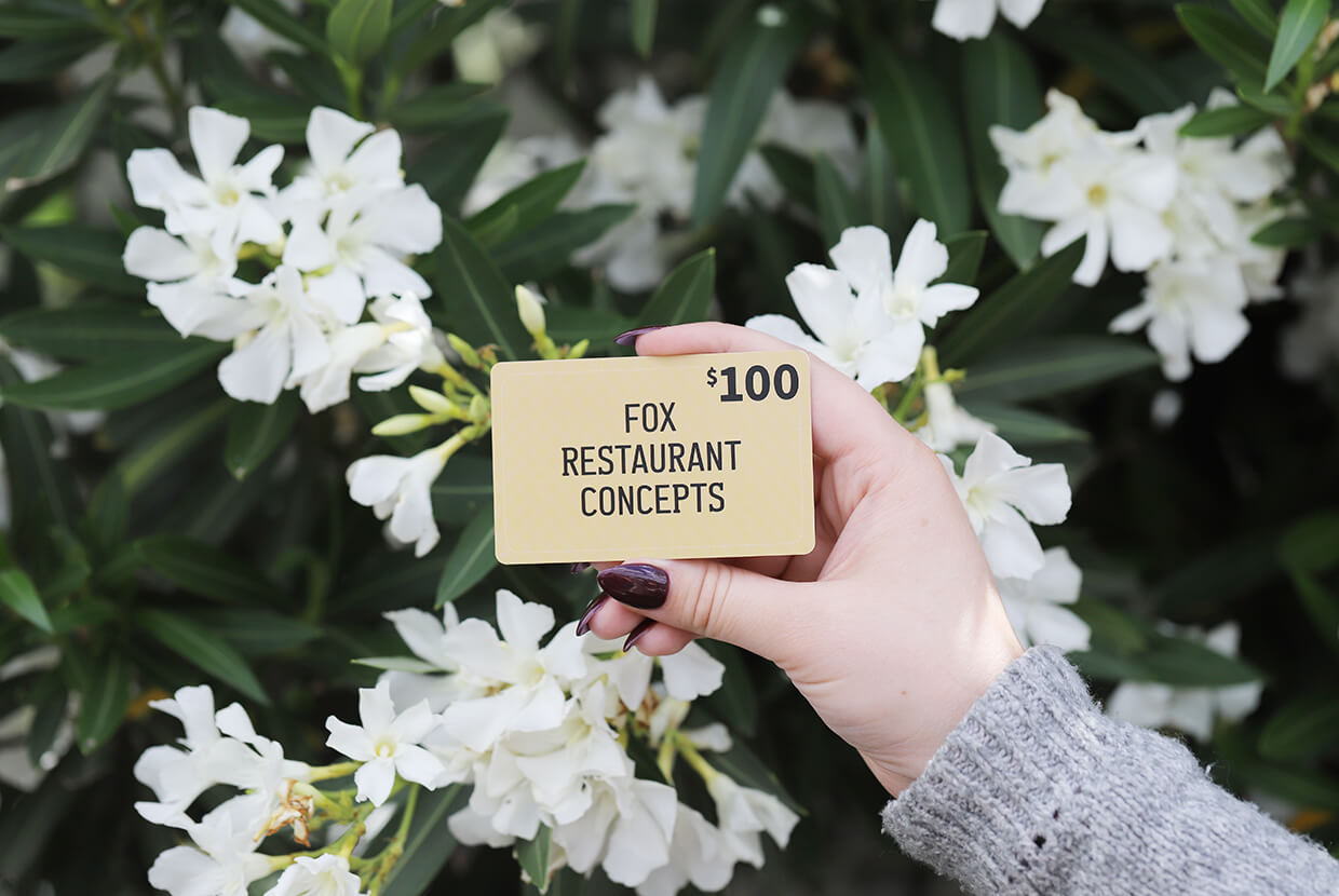 a hand holding a flower