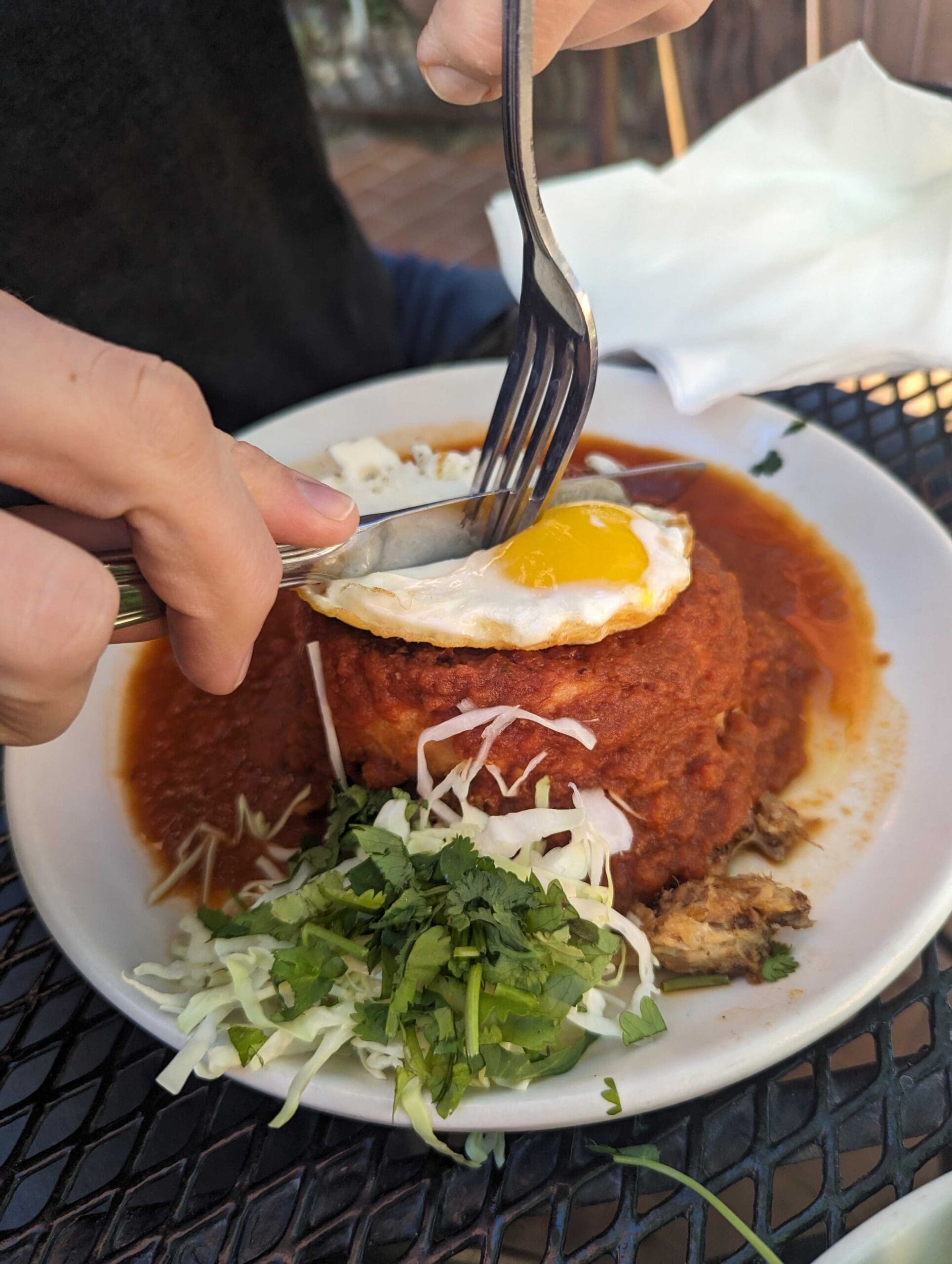 a person holding a plate of food