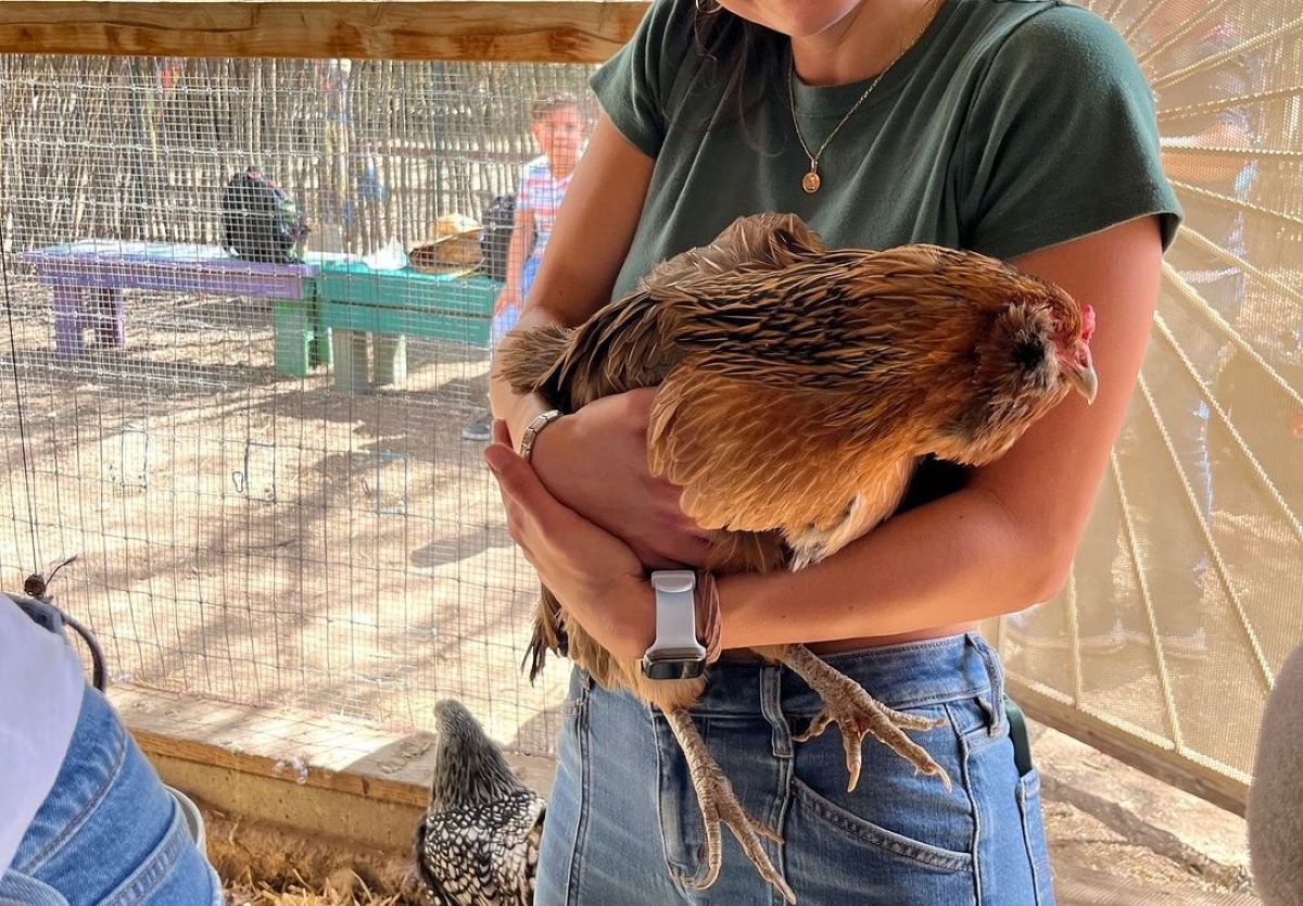 a person sitting at a zoo