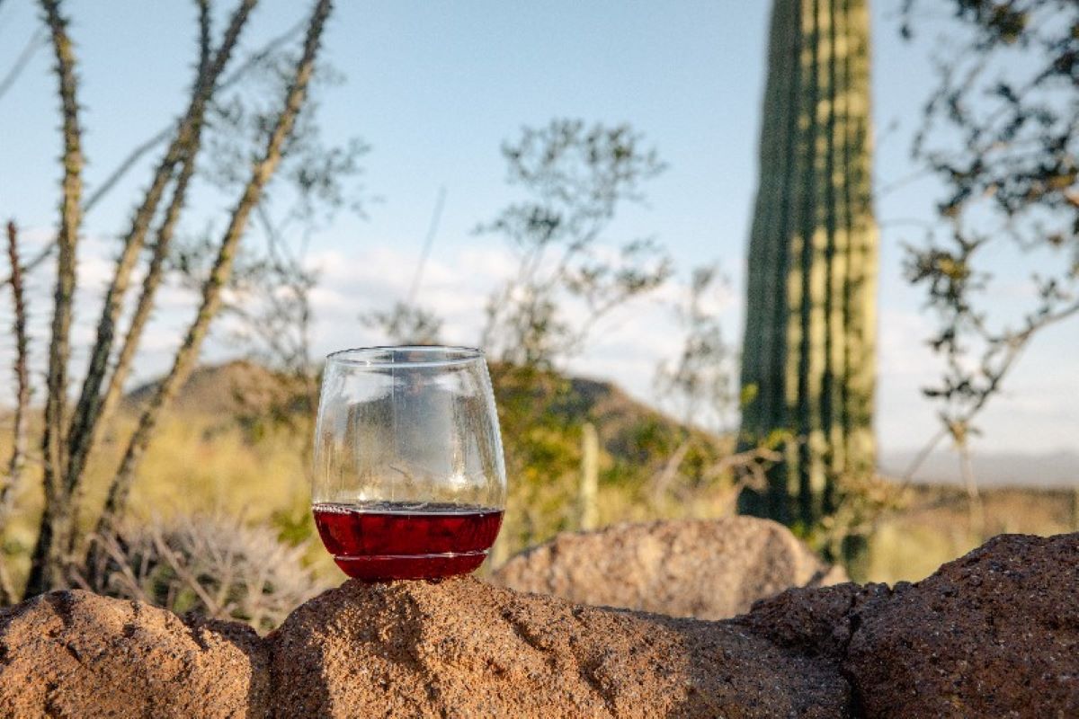 WineDown For Wildlife (Photo courtesy of Arizona-Sonora Desert Museum)