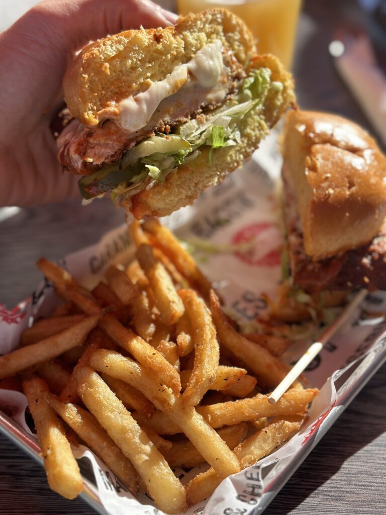 a close up of a sandwich and fries on a plate