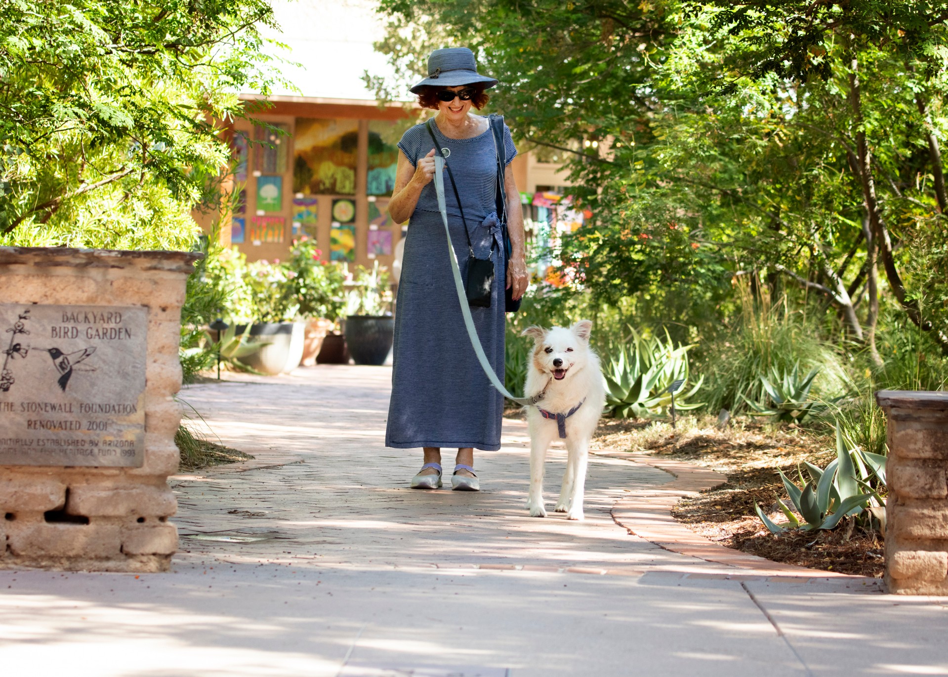 Dog Days of Summer at TBG (Photo courtesy of Tucson Botanical Gardens)