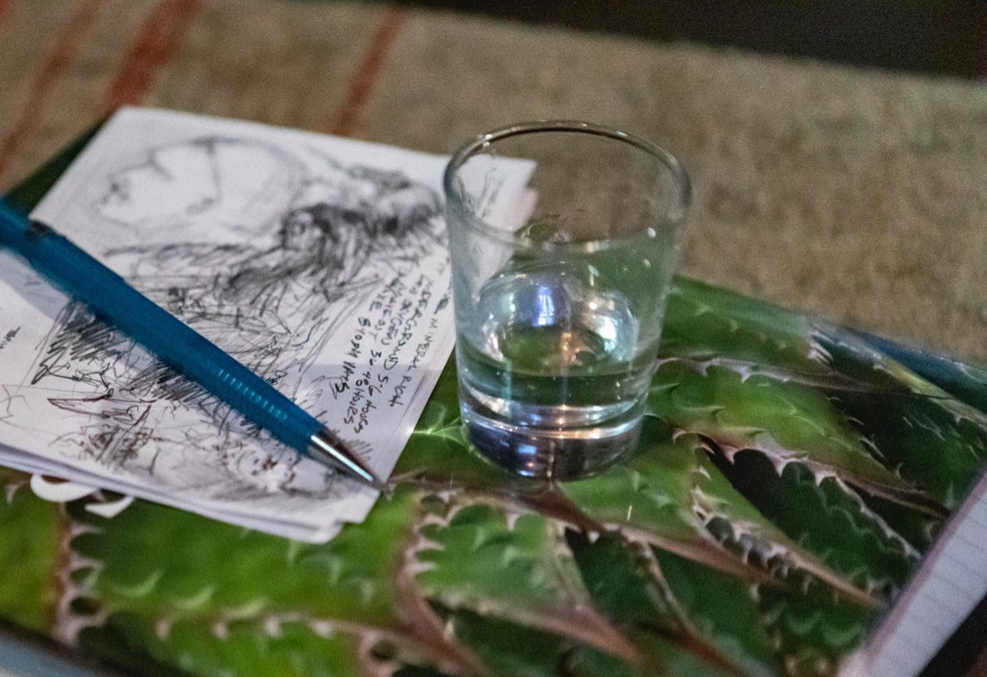 (Photo courtesy of the Agave Heritage Festival)