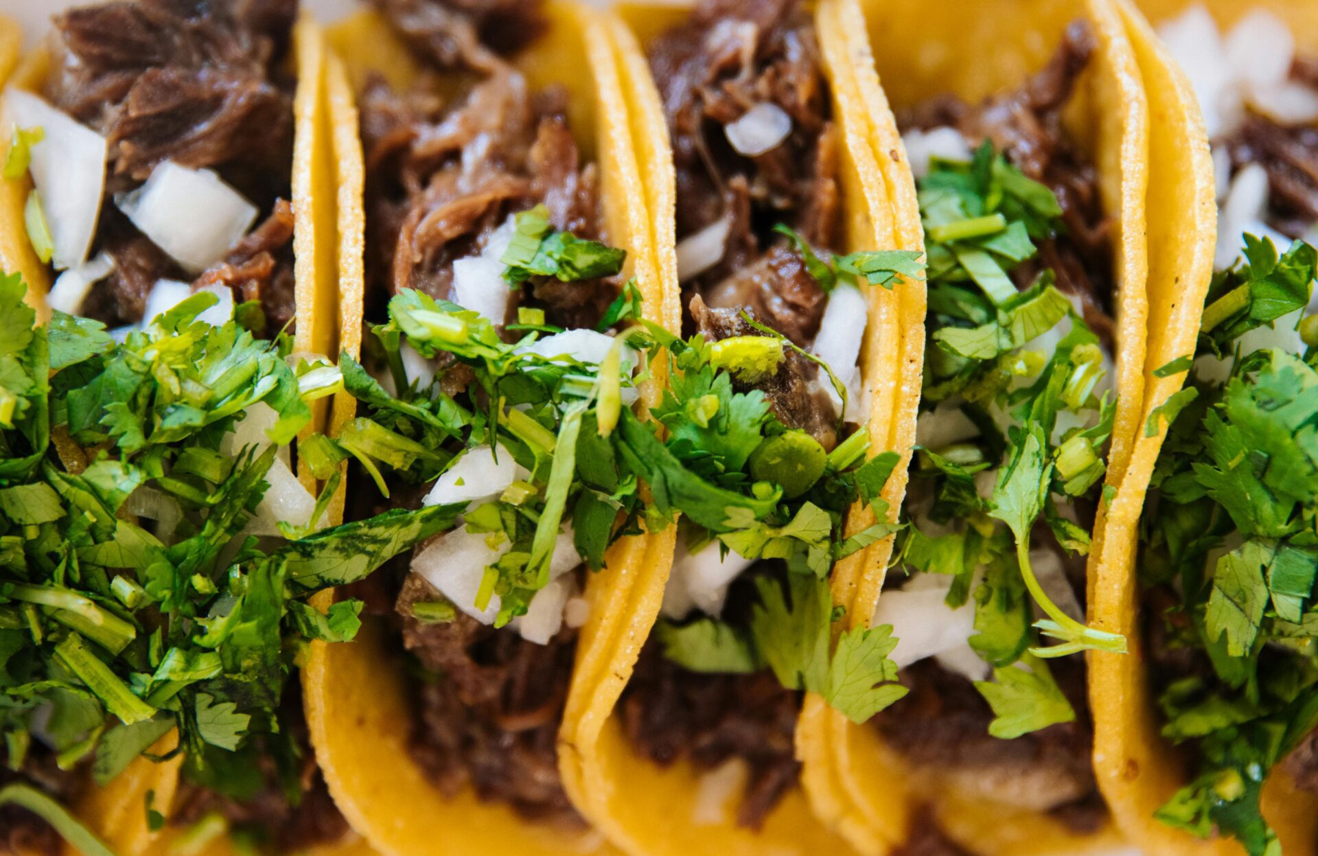 Tacos (Photo by Jeswin Thomas)