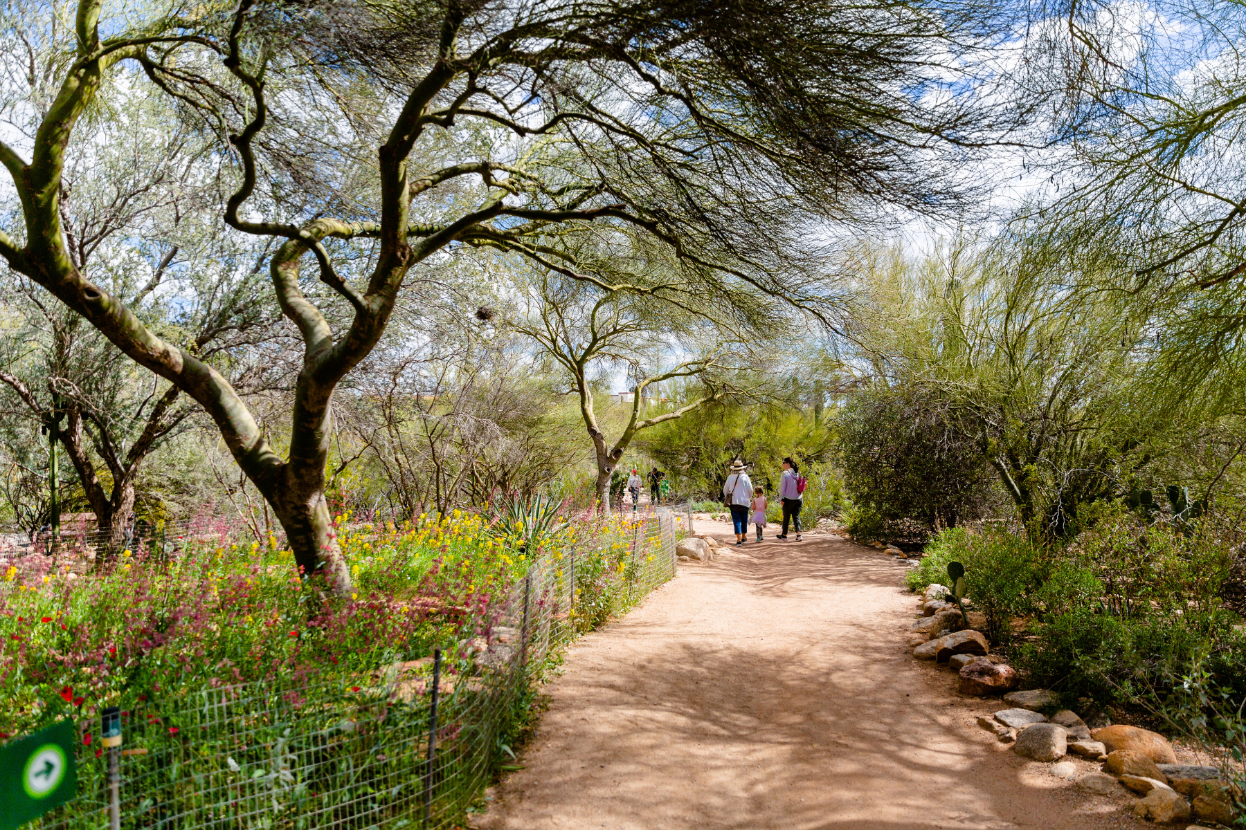 (Photo courtesy of Tohono Chul)