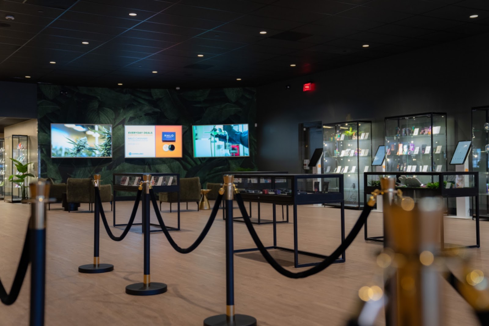 Oracle location lobby (Photo courtesy of D2 Dispensaries)