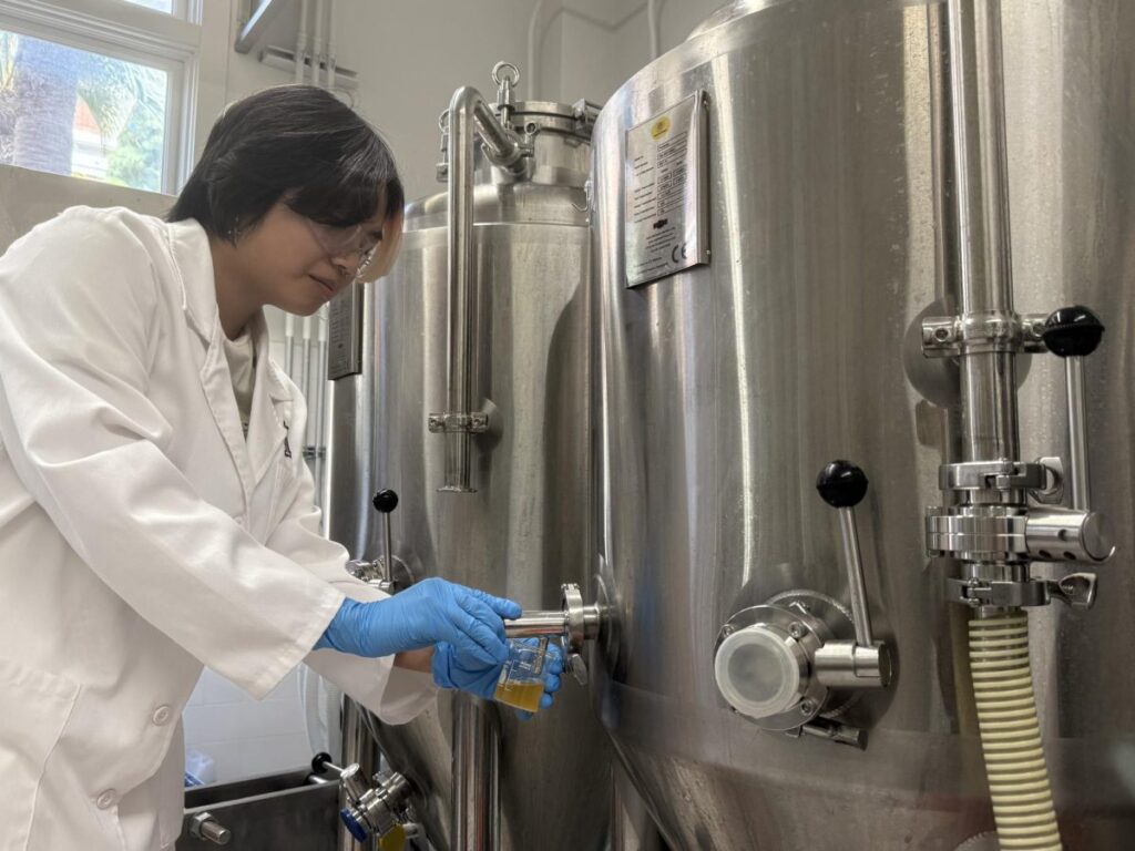 Student Evie Tran in the process of making her Kiwi Strawberry Blonde Ale. (Courtesy of Patrick Heacock)