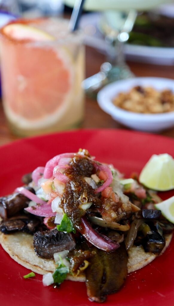 Mushroom taco at Casa Asada (Photo by Hannah Hernandez)