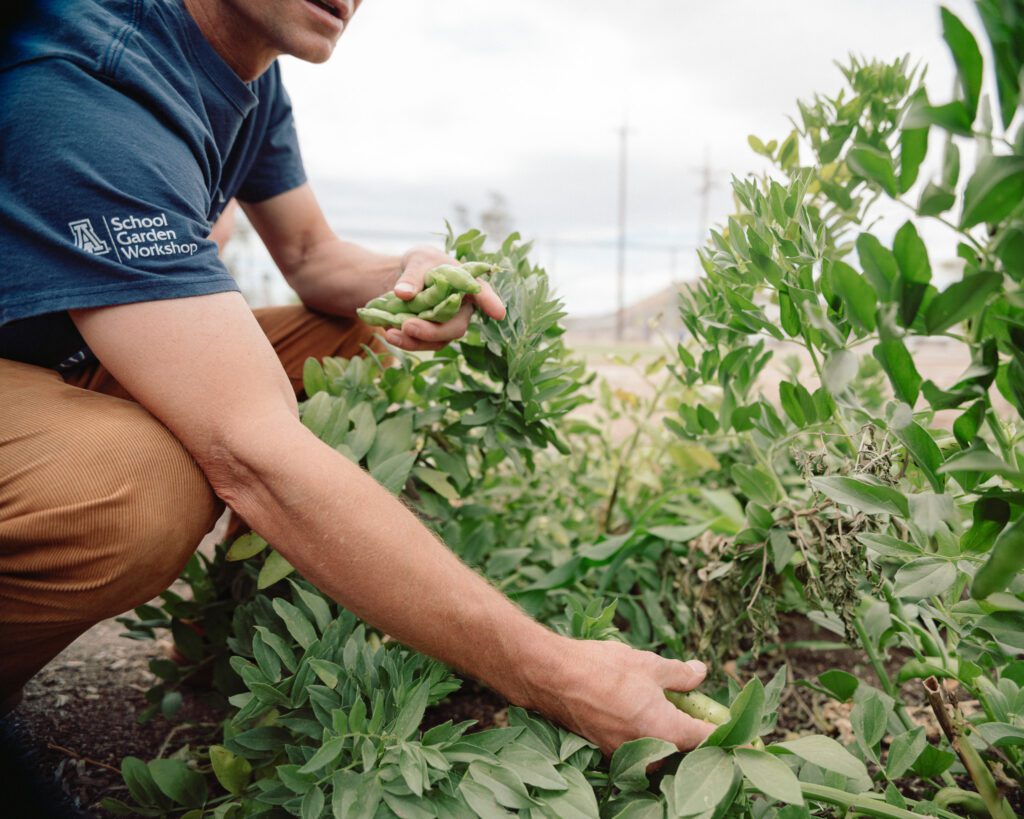 University of Arizona School Garden Workshop (Photo by Clay Lyon)