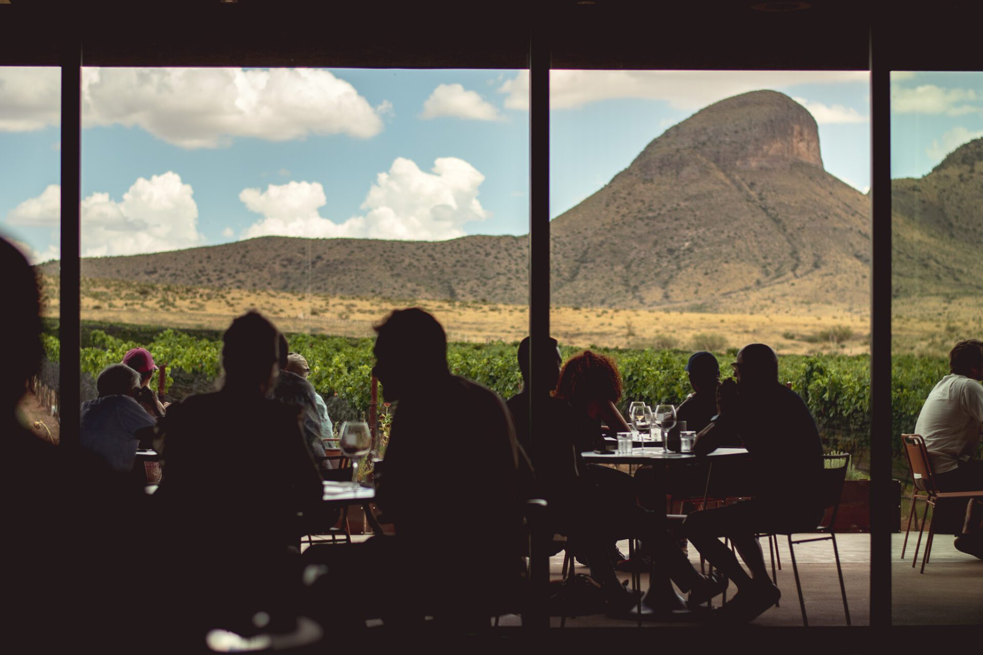 Los Milics Vineyards (Photo by Jackie Tran)