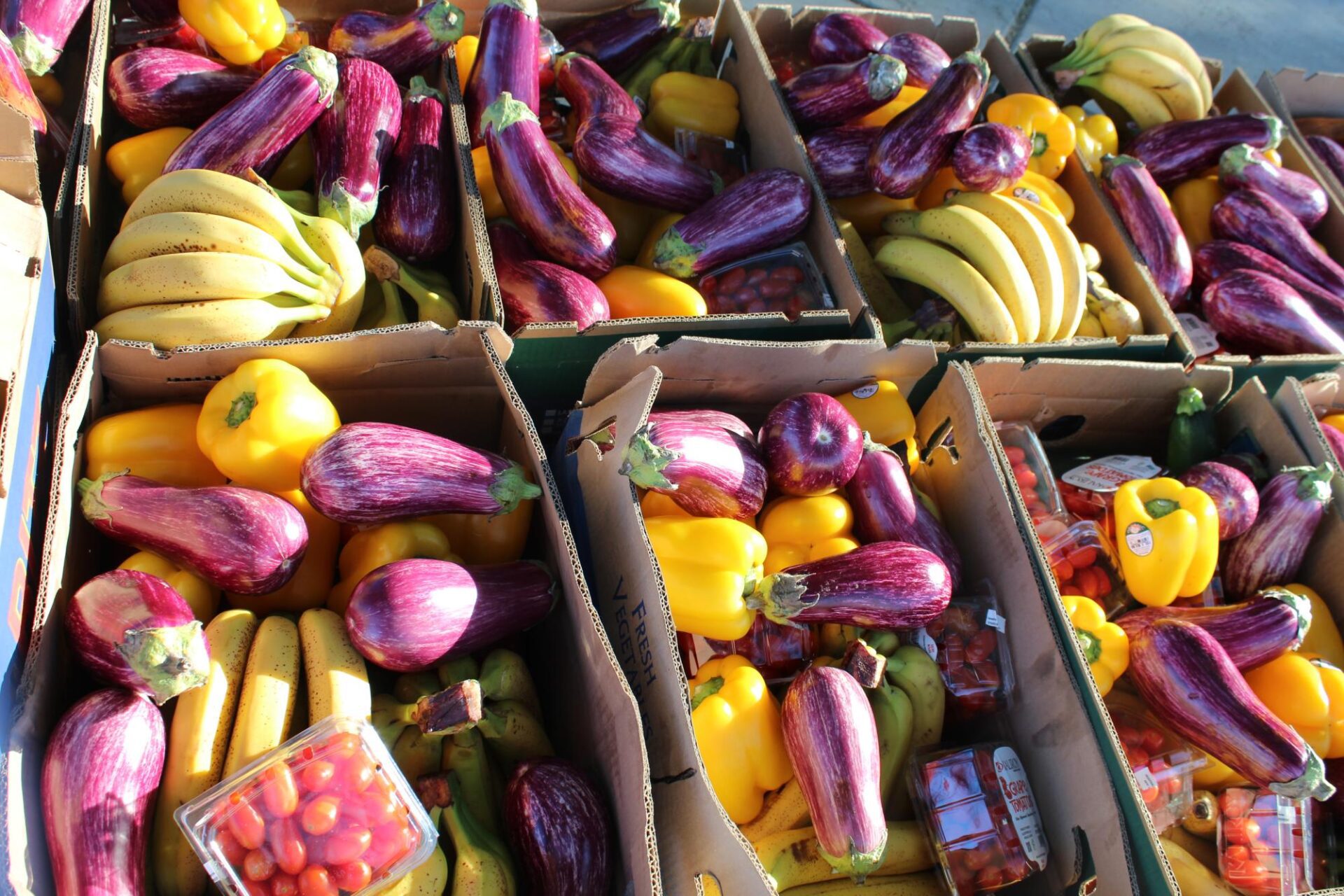 Boxes of rescued produce sit ready for distribution during a Borderlands Produce Rescue P.O.W.W.O.W. event in Tucson, Ariz., on Saturday, Dec. 7, 2025.